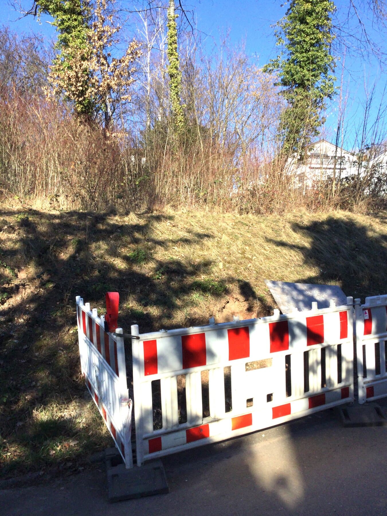 Neubau eines Wohnhauses in Pforzheim, Bild 3