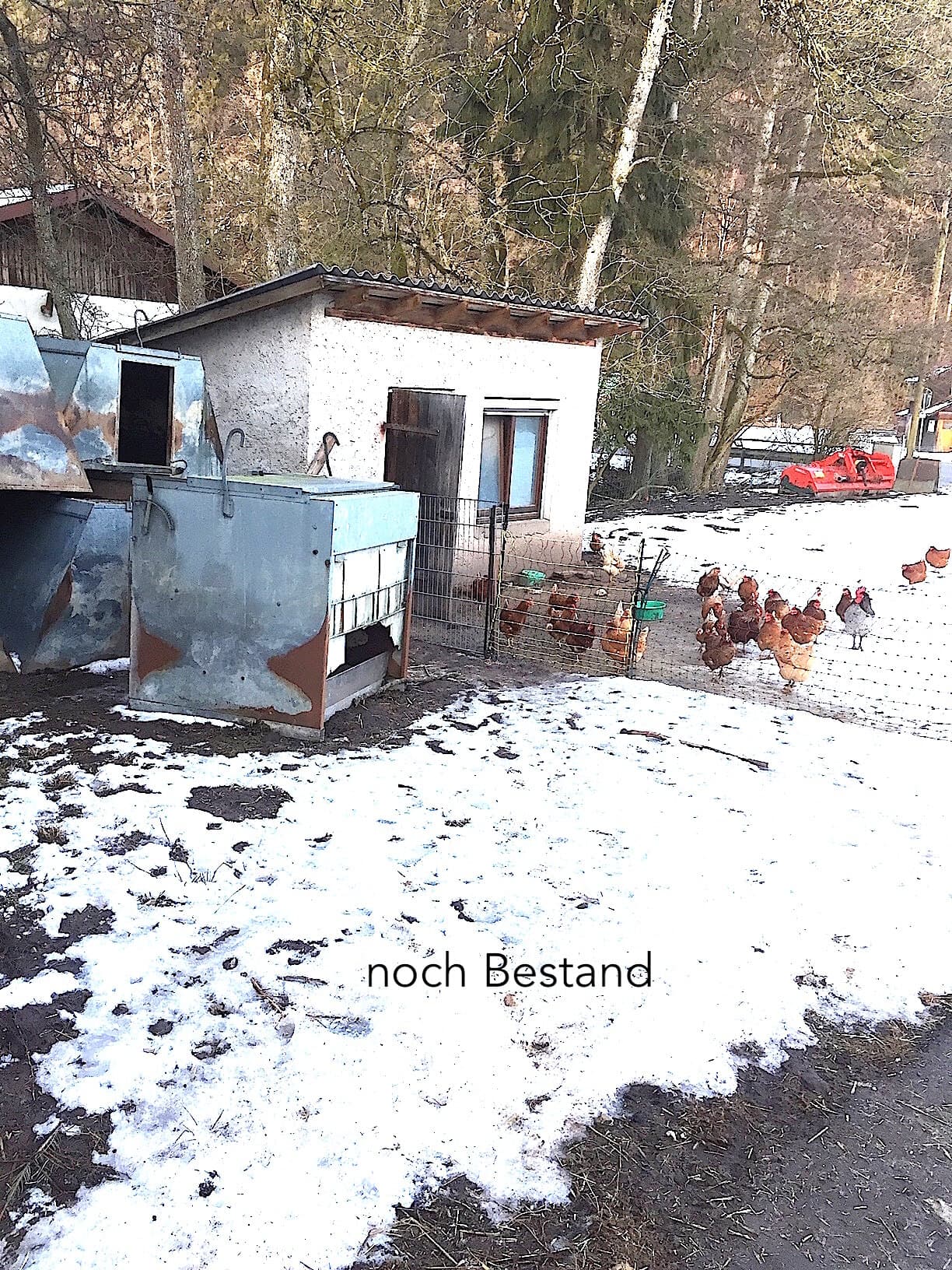 Neubau Wohnhaus in Großerlach-Liemersbach, Bild 3